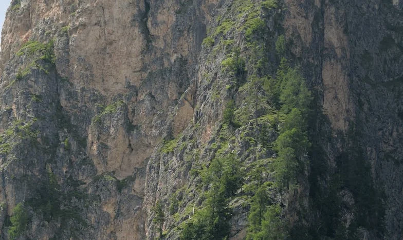 The Gas Station Reunion: A Family Divided by Addiction