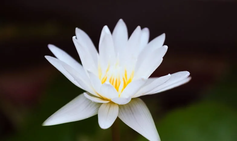 The Price of Silence: Growing Up with a Broken Father