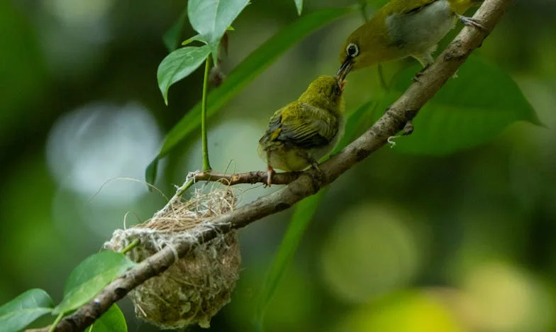 The Rain Was to Blame for Everything