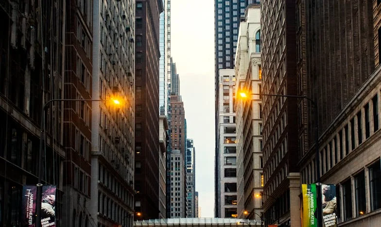 The Second Mother: A Story About What We Call Family