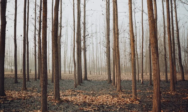 The Visit I Should Have Never Made