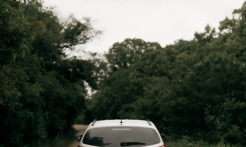 Three Days of Winter: A Christmas in the ICU