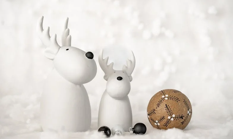 Thrown Out of My Son’s House: A Mother-in-Law’s American Story of Isolation and Hope