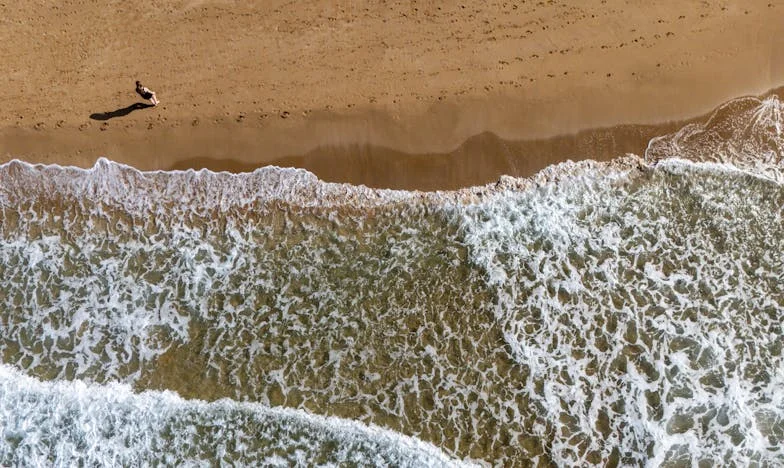 Uninvited Guests: The Day My Birthday Was Ruined