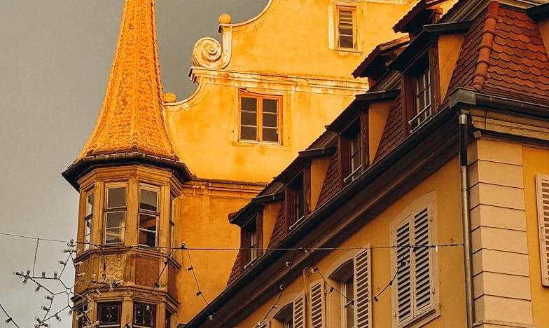 Waves Beyond the Horizon: Emily's Fight for the Sea