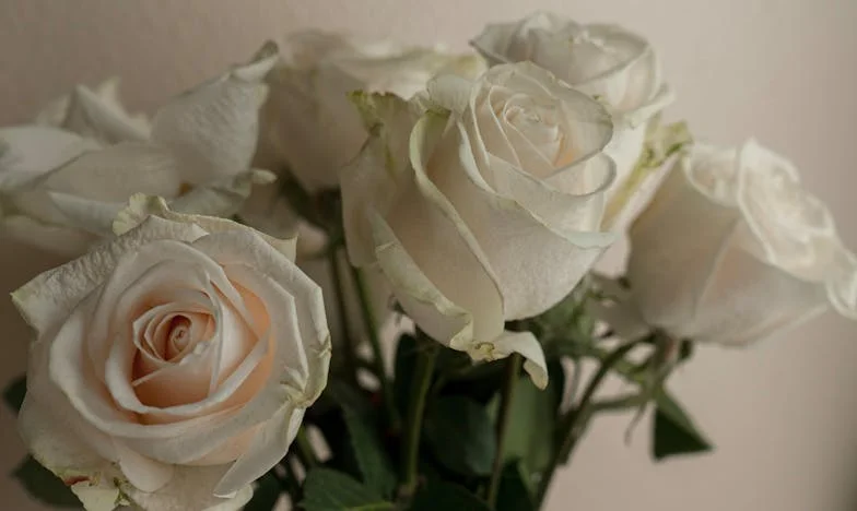 When Love Comes Late: A Mother's Story of Guilt, Hope, and Second Chances