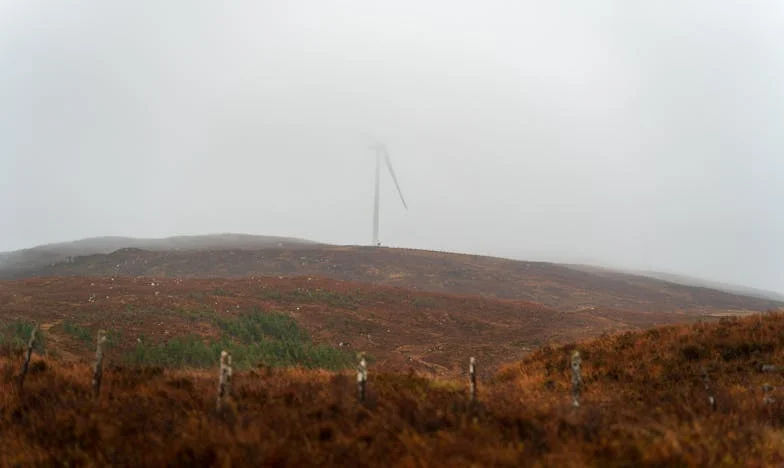 When Love Turns Into Accounting: A Mother's Story from Suburbia