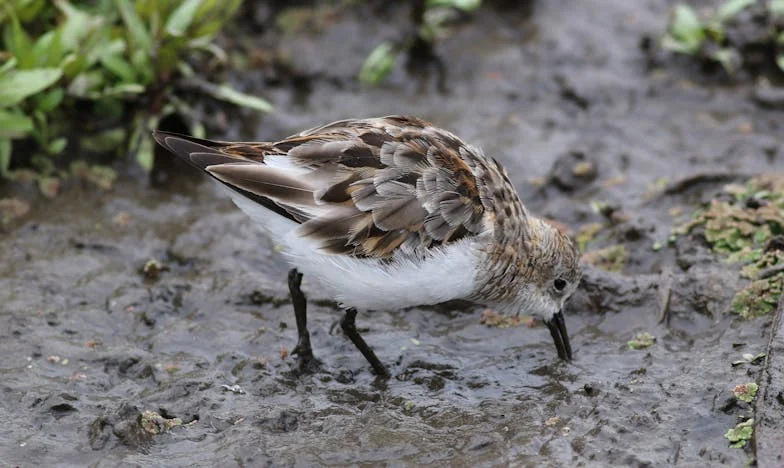 When My Husband Asked If He Could Leave: A Story of Loss, Love, and Motherhood in America