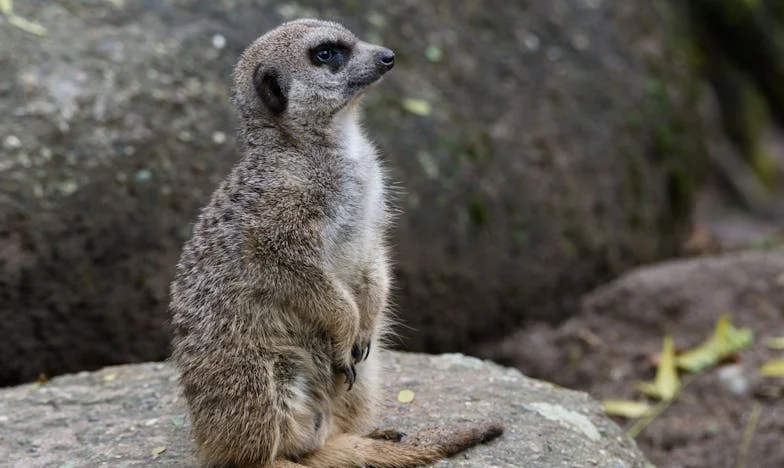 When My Mother-in-Law Tried to Force Me Out: A Story of Faith, Family, and Finding My Voice in My Own Home