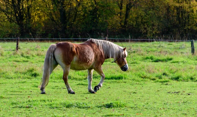 When Overnight I Became a Father — Twice