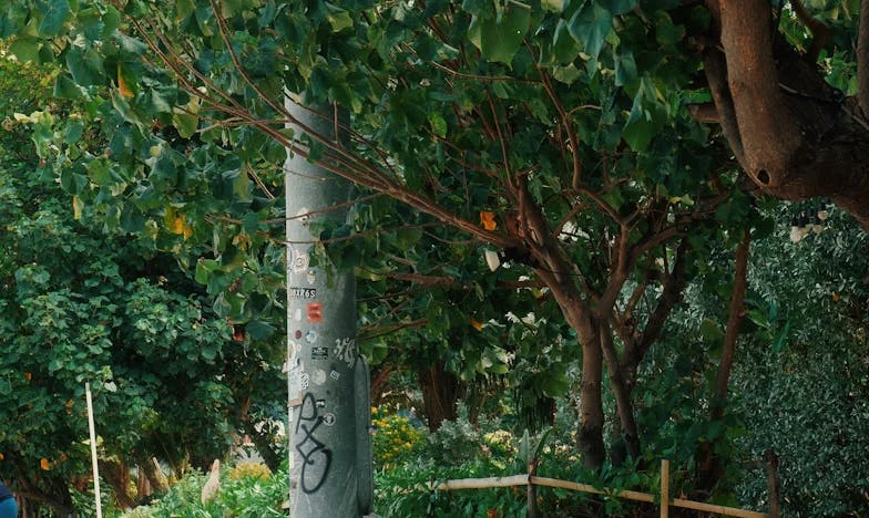 When the Past Knocks: A Test of Family and Forgiveness