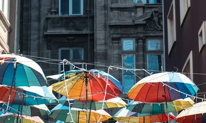 When the Truth Hurts: My Story of Justice and Dignity in Houston