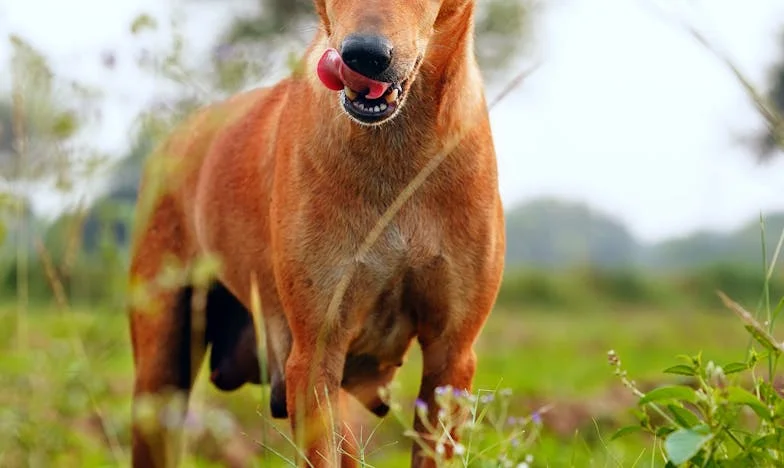 Why I Couldn't Stand Her: The Unopened Letter in the Desk