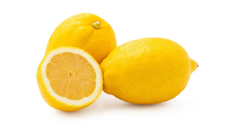 You Never Even Said Thank You: A Story About Family, Regret, and the Race Against Time