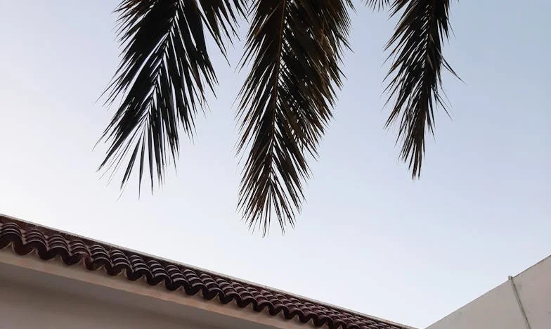 A Friendship Tested by Fate: Jake and Mike's Unbreakable Bond