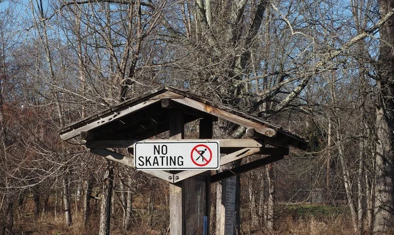 A Name Not My Own: The Story of Emily Grace