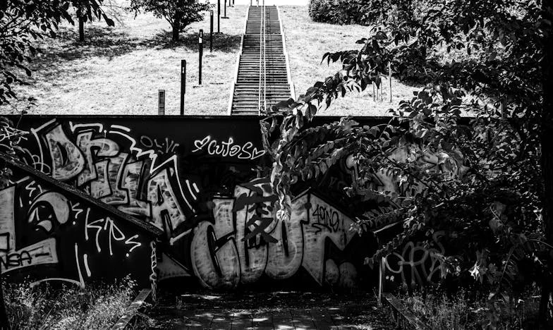 Baked Secrets: How a Cod Changed My Family Forever