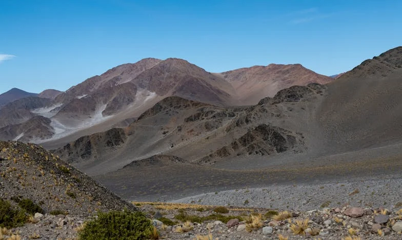 He Came to Stay: A Story of Second Chances and Broken Promises