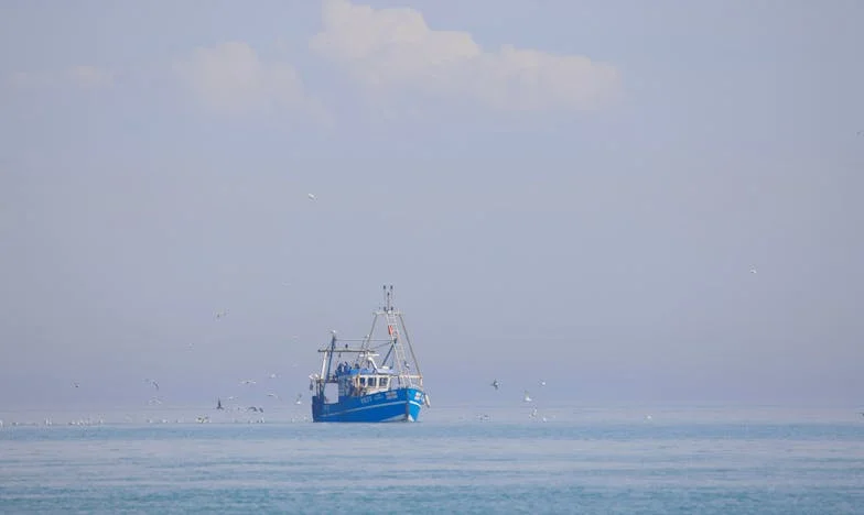 How a Forest Ranger and a Wolf Changed Each Other Forever: The Story of Three Wolves in the Pines