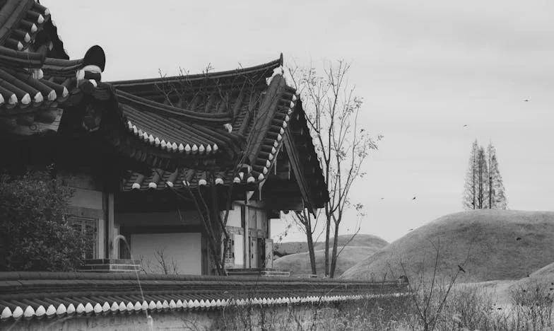 Letting Go: The Day I Cut My Hair for My Ex-Mother-in-Law