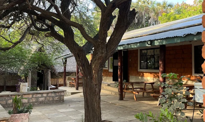 Mom, Please Don’t Leave: A Night That Changed My Life