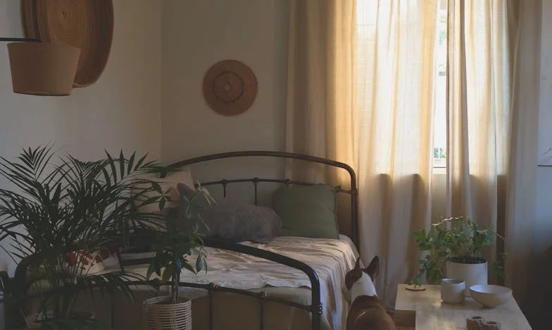 My Car, My Family, and the Collision No One Saw Coming