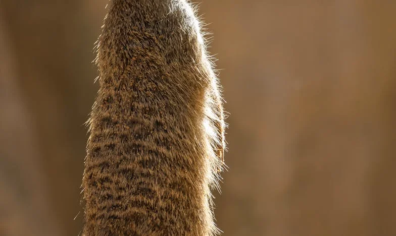 My Son, His Wife, and the Shadow of the Past