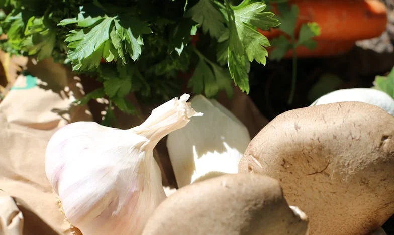 Not for Sale: How My Father's Ultimatum Changed Everything