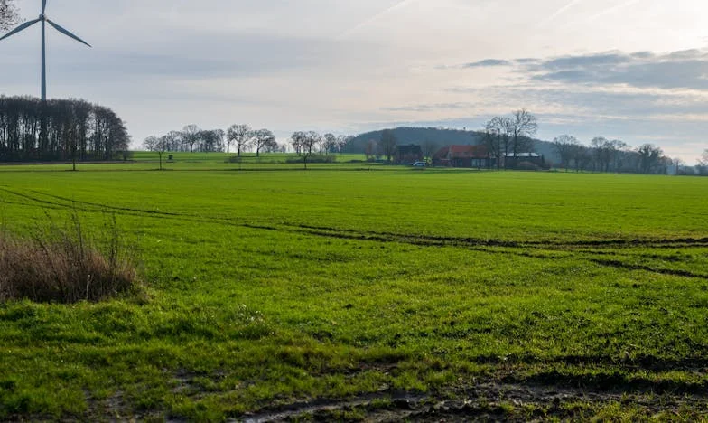 “Not Now, Honey, We’re Talking About Important Things”: My Life in the Shadow of My Own Family