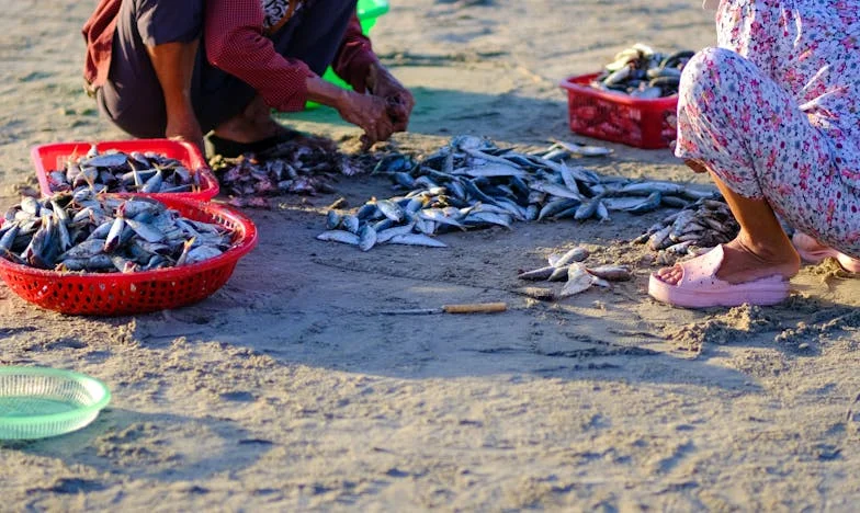 Reclaiming Home: My Fight for Belonging