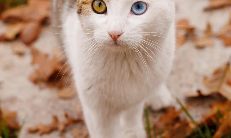 Searching for Happiness on Vacation: The Summer That Changed Everything