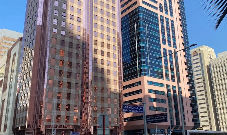 Shadows Behind the White Picket Fence