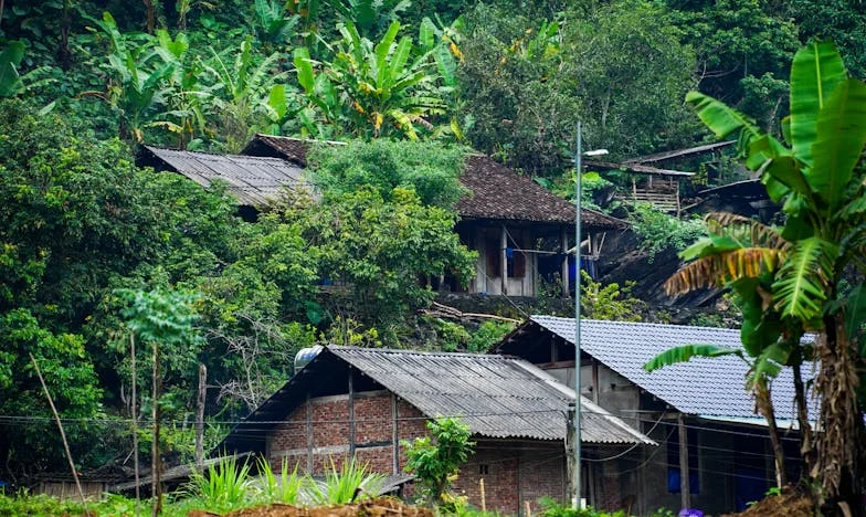 Shadows on Maple Lane: A Mother-in-Law's Judgment