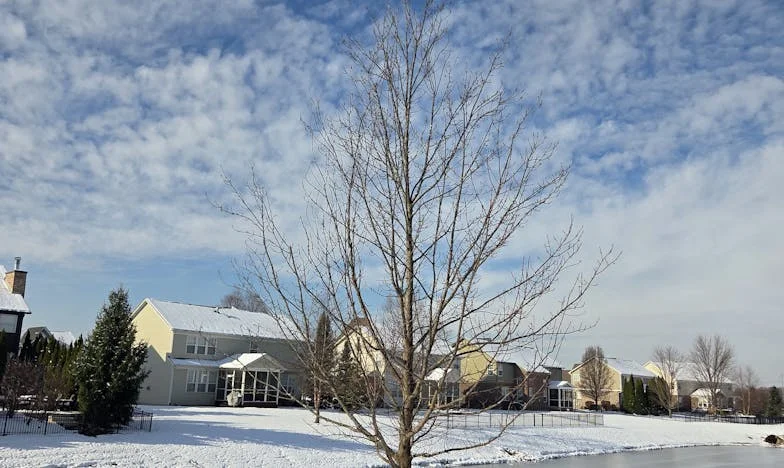 Shattered Wings of Love: When the Past Knocks on the Door