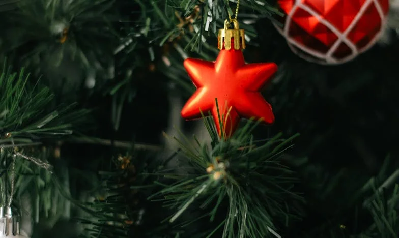 The Door I Shouldn’t Have Opened: A Love Story Rewritten