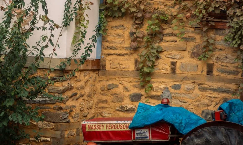 The Photograph That Changed Everything