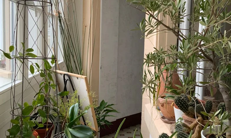 The Secret Guest List: A Marriage Unraveled by Lies