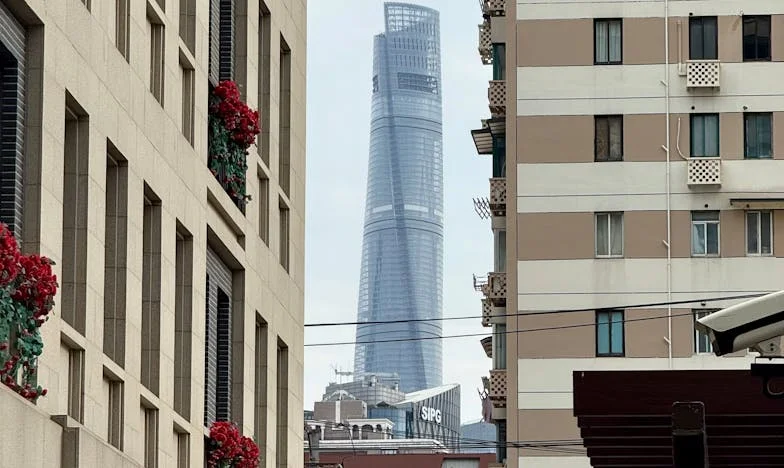 The Secret in the Velvet Box