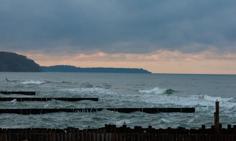 The Sunday That Tore Us Apart: The Truth I Couldn’t Keep Silent