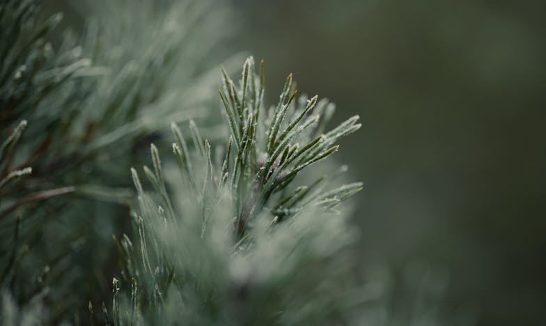 The Weight of Being 'Gifted'