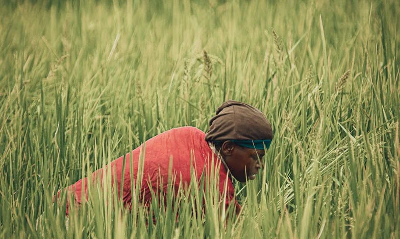 The Wreath at My Door: When Family Turns Into Fear