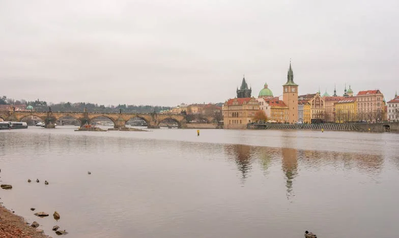 “This House Isn’t Yours!” – A Family Torn Apart by a Single Sentence