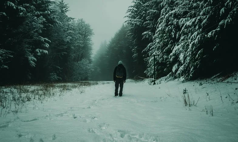 Walls of Inheritance: My Life Among the Shadows of Family Homes