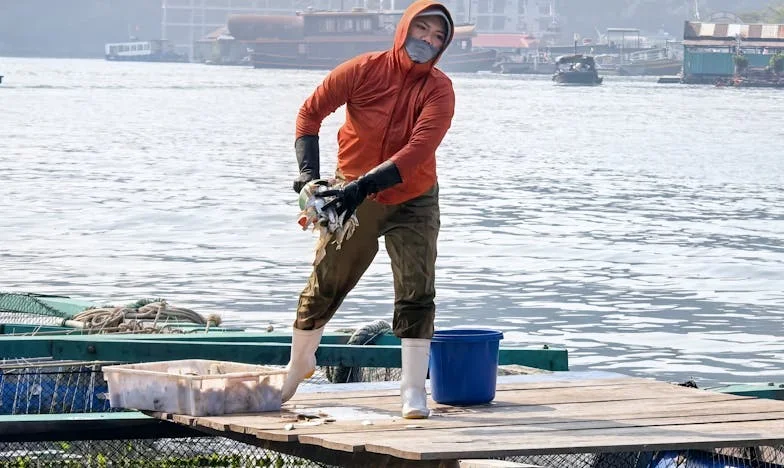 When Family Falls Apart: A Mother's Struggle for Her Son