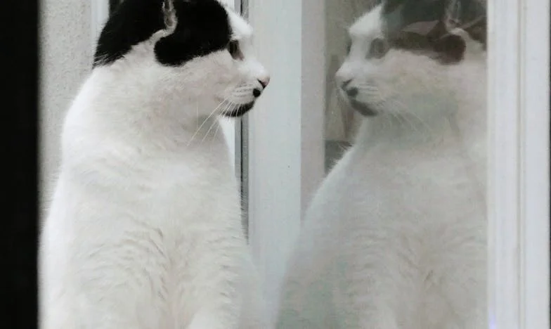 When Friendship Breaks: The Day My World Shifted