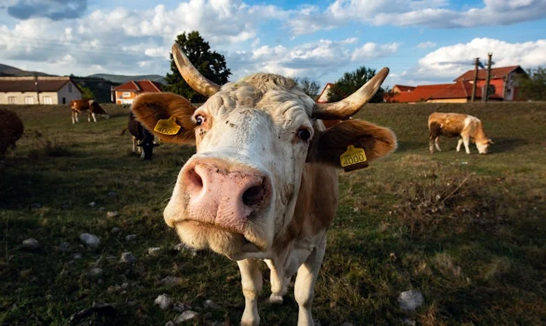 When the Night Broke: A Family Torn Apart by Addiction