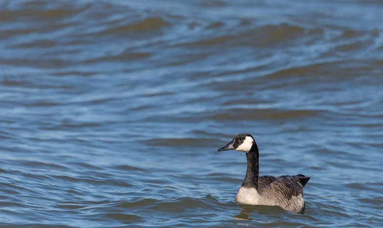 Behind the Church Doors: My Husband's Secret and the Night Our Family Changed Forever
