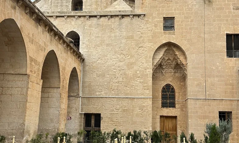 Betrayed by My Own Mother: The Story of a Stolen Inheritance and Shattered Trust