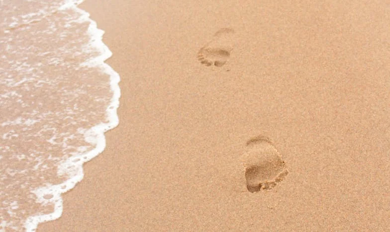 How I Tried to Stop Uninvited Relatives from Ruining Every Family Gathering: A Story of Boundaries, Shame, and Courage