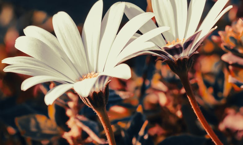 I Left My Grandchildren for a Man Half My Age—And One Night Changed Everything